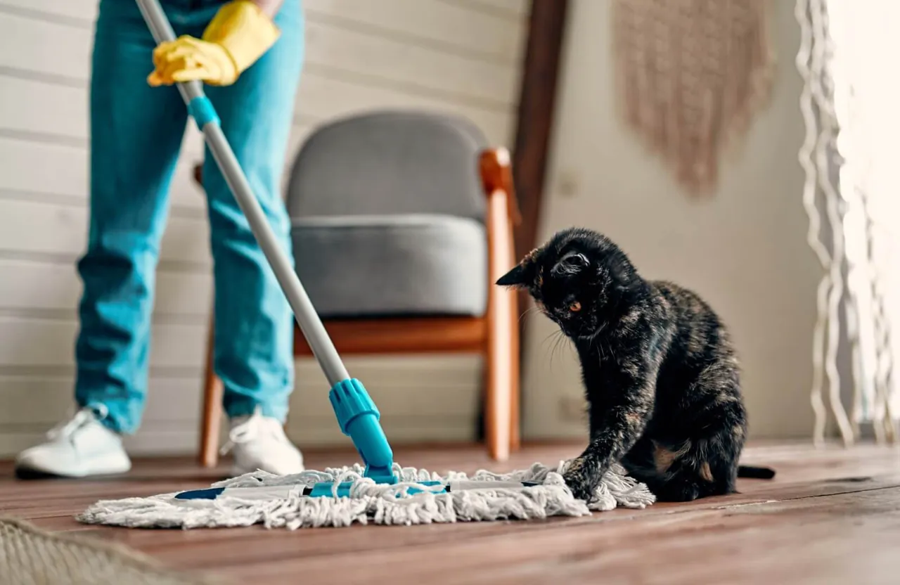 The VRBO Owner Cleans the House